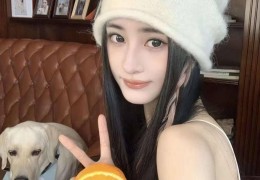 茶香中的城市呼吸，探寻文化静谧与活力